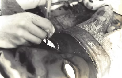 Máscara do Piraquara