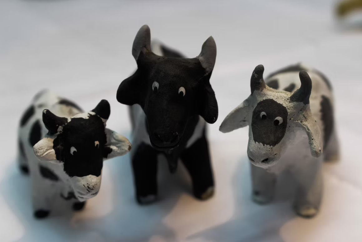 Descrição da Imagem 8