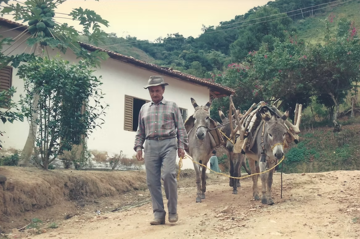 Descrição da Imagem 11