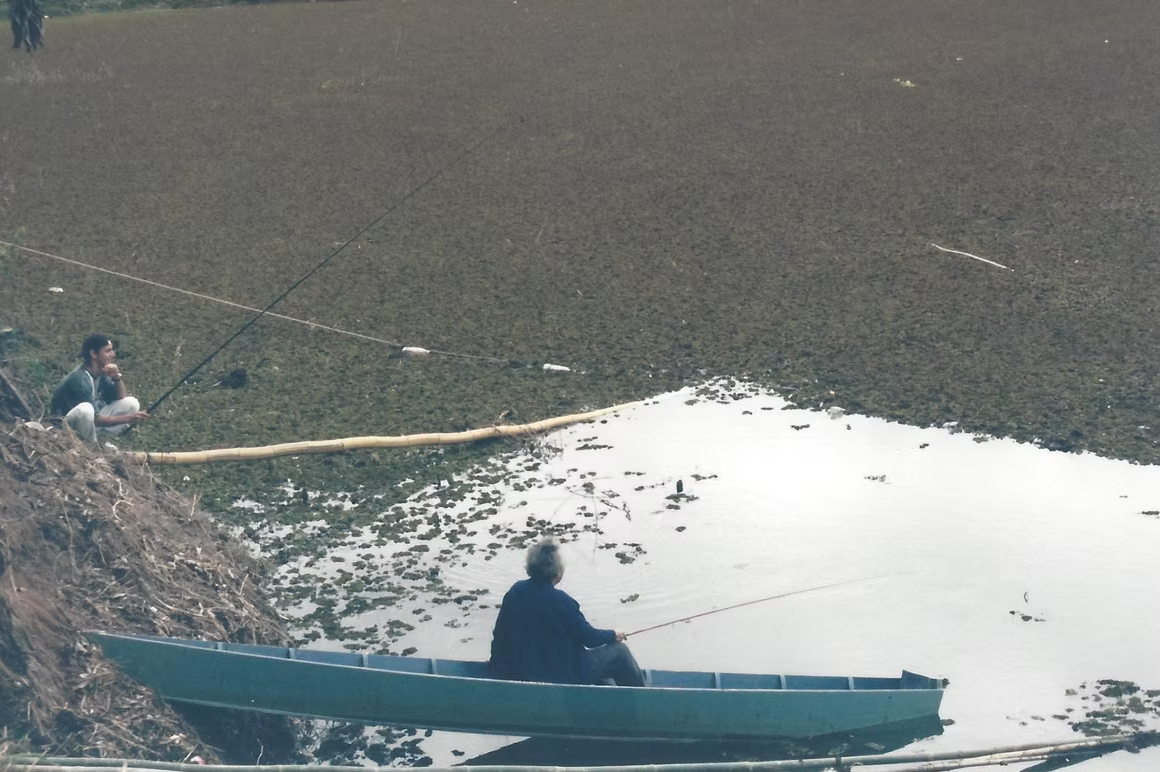 Descrição da Imagem 16