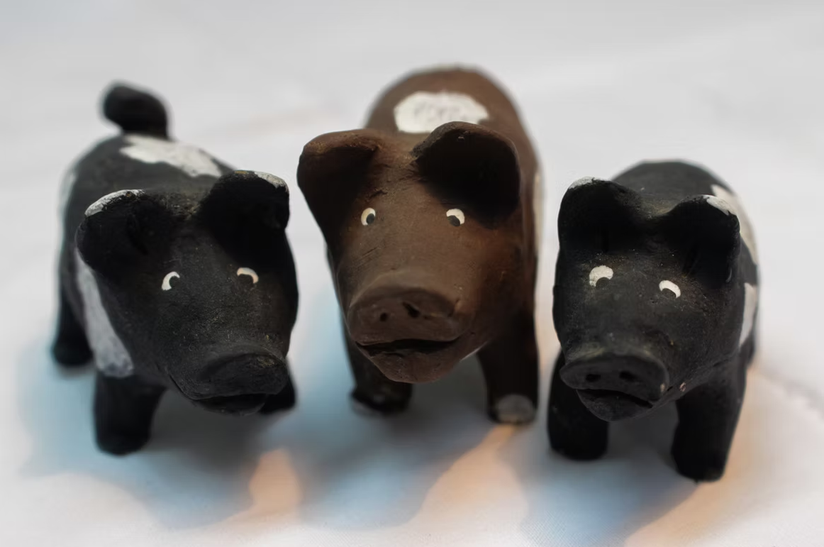 Descrição da Imagem 10